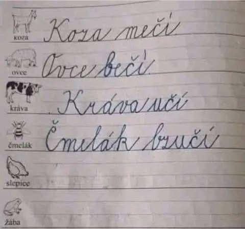 a co slepice?